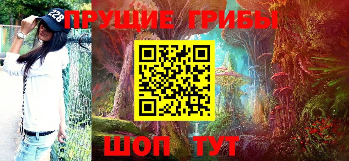 Псилоцибиновые грибы ЛСД Михайловка