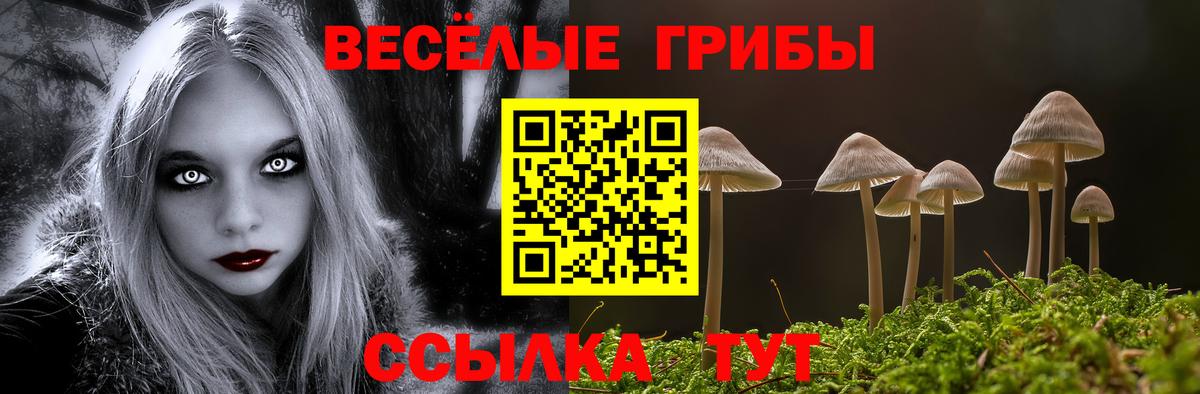 Михайловка  Галлюциногенные грибы ЛСД  Вход с VPN 